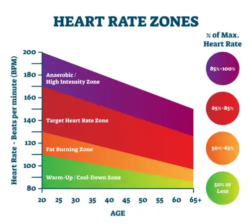 Spalanie kalorii na cardio: Jak to obliczyć i zwiększyć?